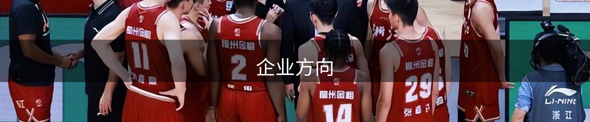 企业方向